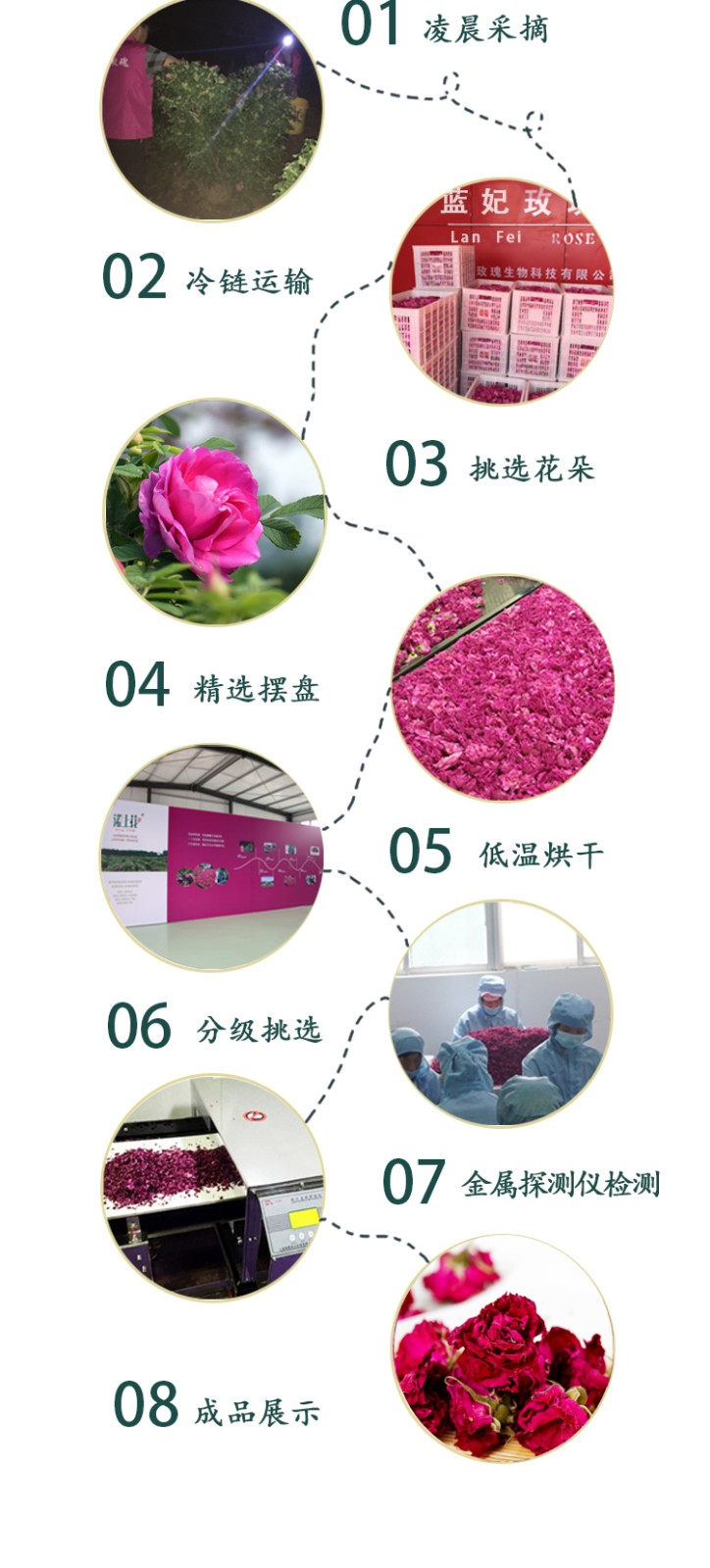 蓝狮娱乐移动办公OA系统手机版APP下载中心