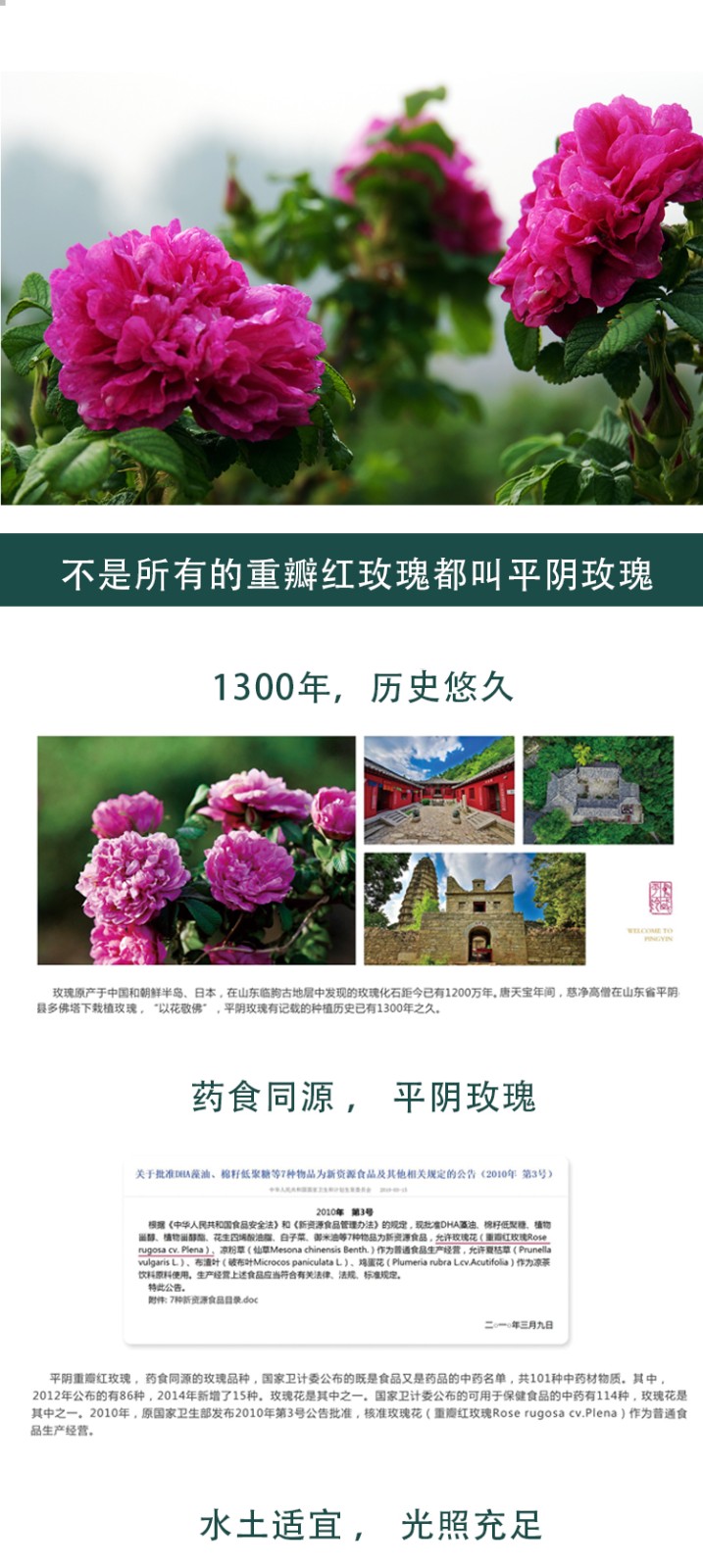 蓝狮娱乐掌上供应链订货系统官方移动APP绿色下载