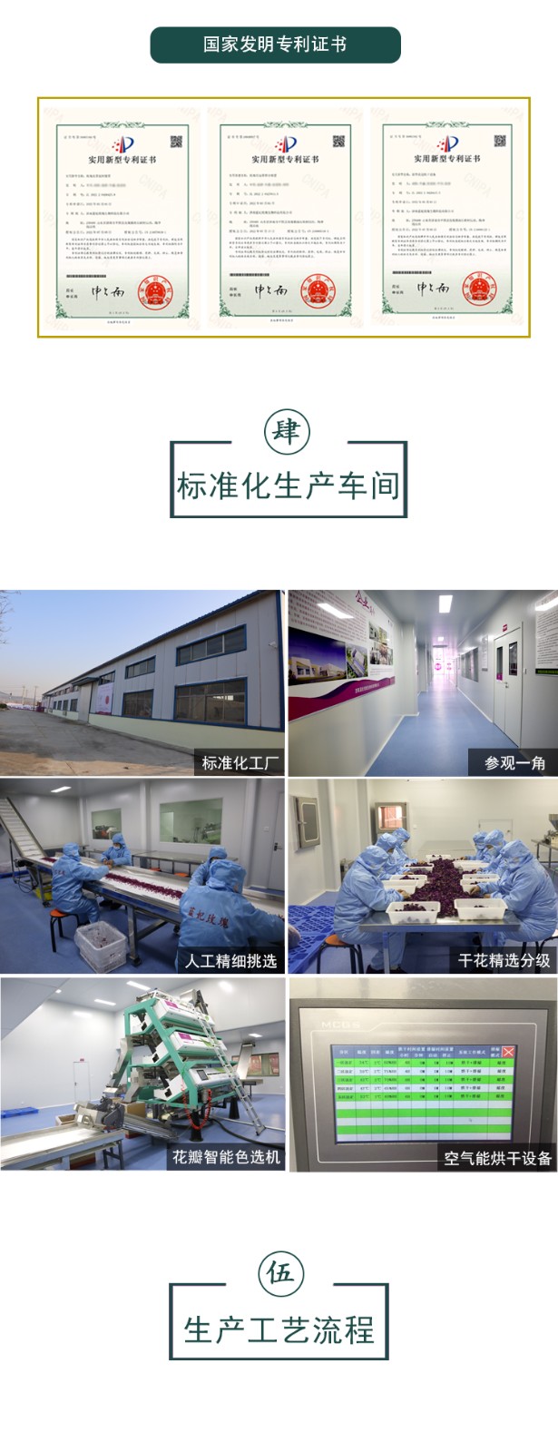 蓝狮娱乐全站标准网络访问地址与节点安全配置